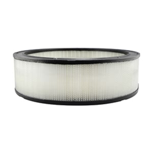 Hastings Air Filter for Cadillac Fleetwood - AF809
