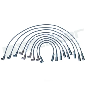 Walker Products Spark Plug Wire Set for Pontiac - 924-1426