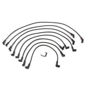 Delphi Spark Plug Wire Set for Chevrolet K20 - XS10260