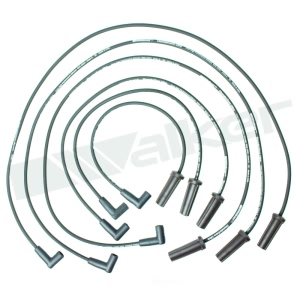Walker Products Spark Plug Wire Set for Buick Park Avenue - 924-1475