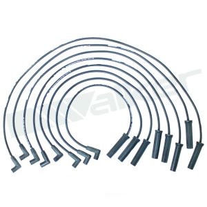 Walker Products Spark Plug Wire Set for GMC V3500 - 924-1427