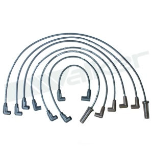 Walker Products Spark Plug Wire Set for Chevrolet Blazer - 924-1515