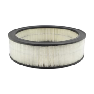 Hastings Air Filter for GMC G3500 - AF145