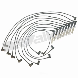 Walker Products Spark Plug Wire Set - 924-1391