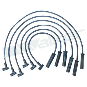 Walker Products Spark Plug Wire Set for Buick Regal - 924-1592