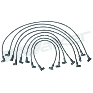 Walker Products Spark Plug Wire Set for Chevrolet Malibu - 924-1394