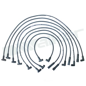 Walker Products Spark Plug Wire Set for Chevrolet El Camino - 924-1528