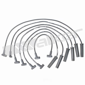 Walker Products Spark Plug Wire Set for GMC S15 Jimmy - 924-1335