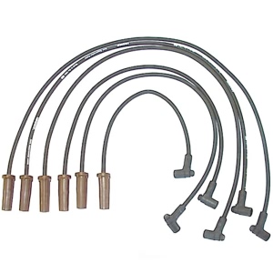 Denso Spark Plug Wire Set for Buick Reatta - 671-6006